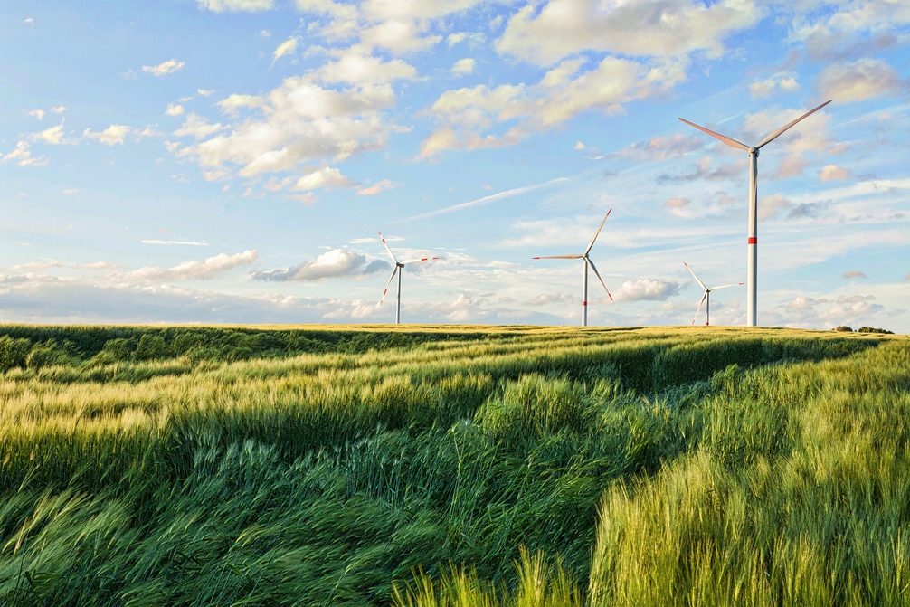 Settore delle energie rinnovabili da fonte eolica